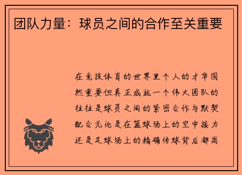 团队力量：球员之间的合作至关重要