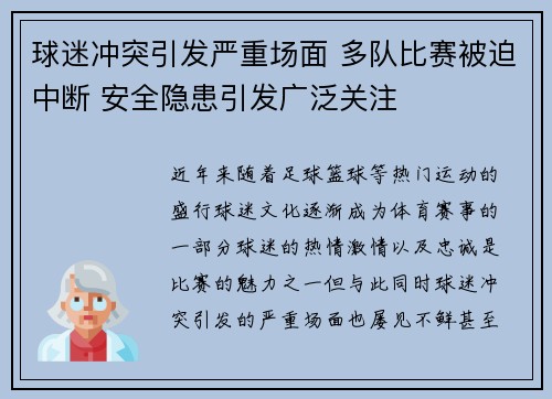 球迷冲突引发严重场面 多队比赛被迫中断 安全隐患引发广泛关注